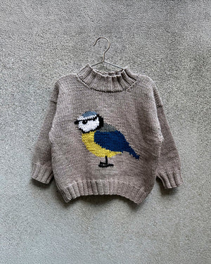 Bird Sweater