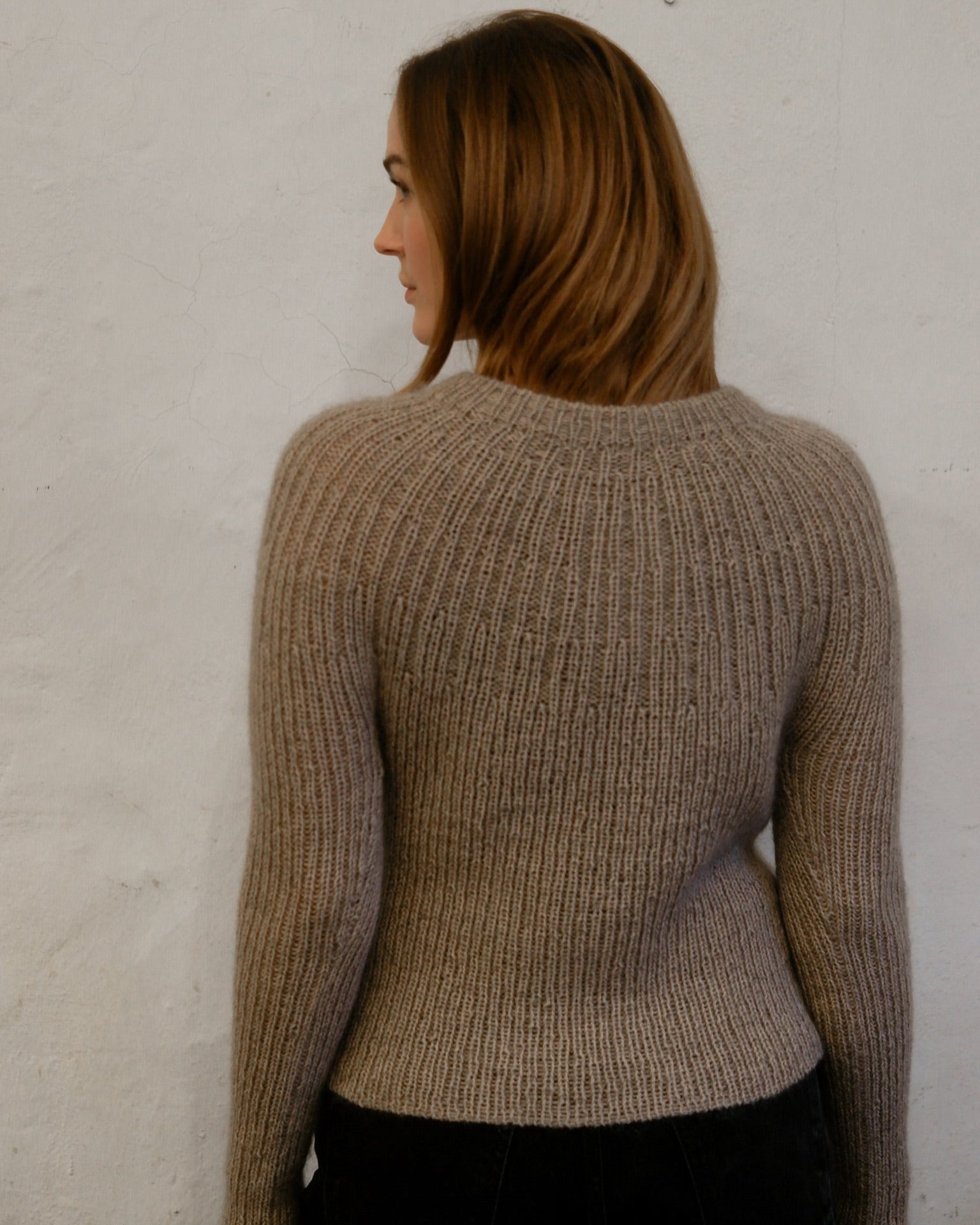 Bellis Rib