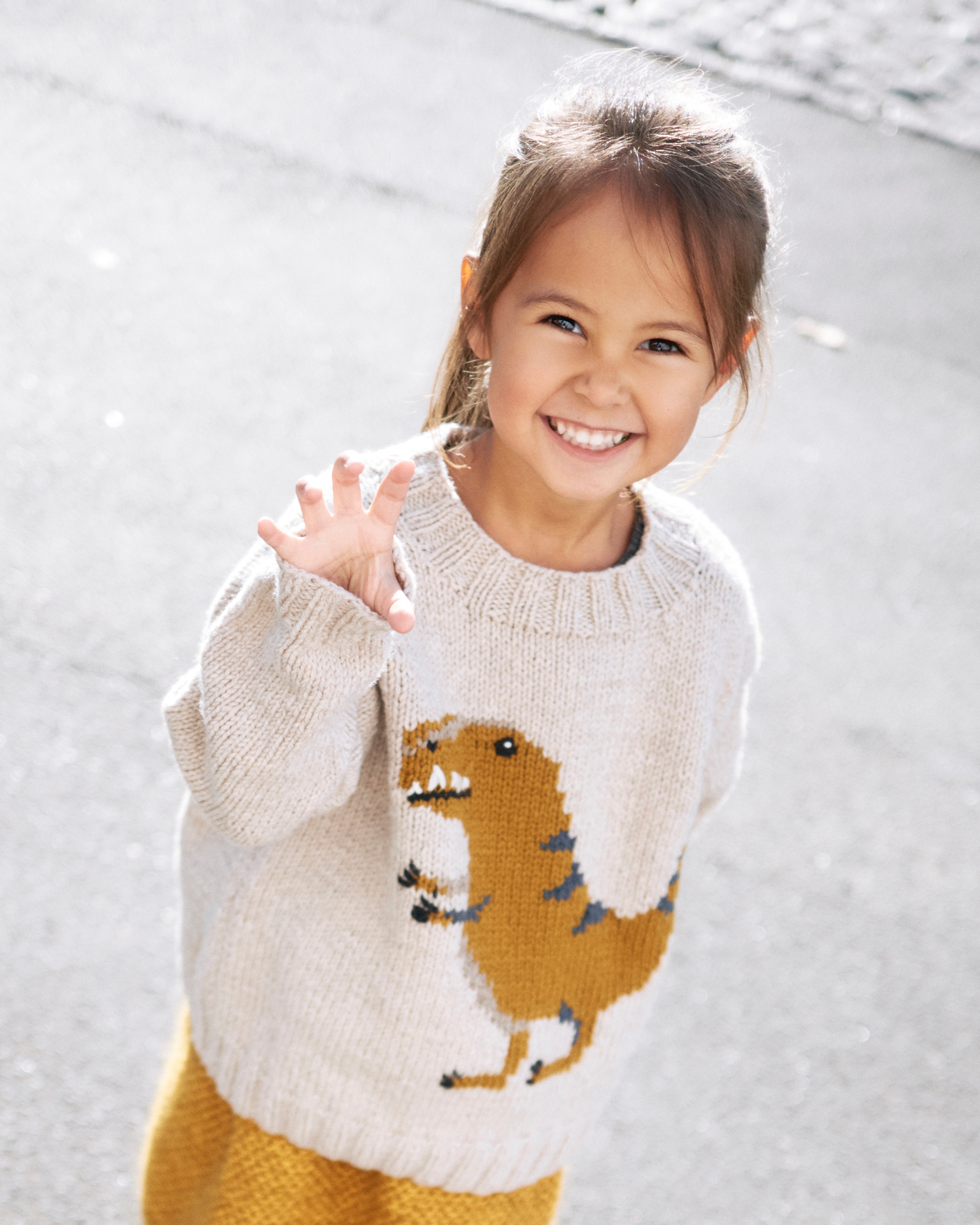 Dinosaur Sweater
