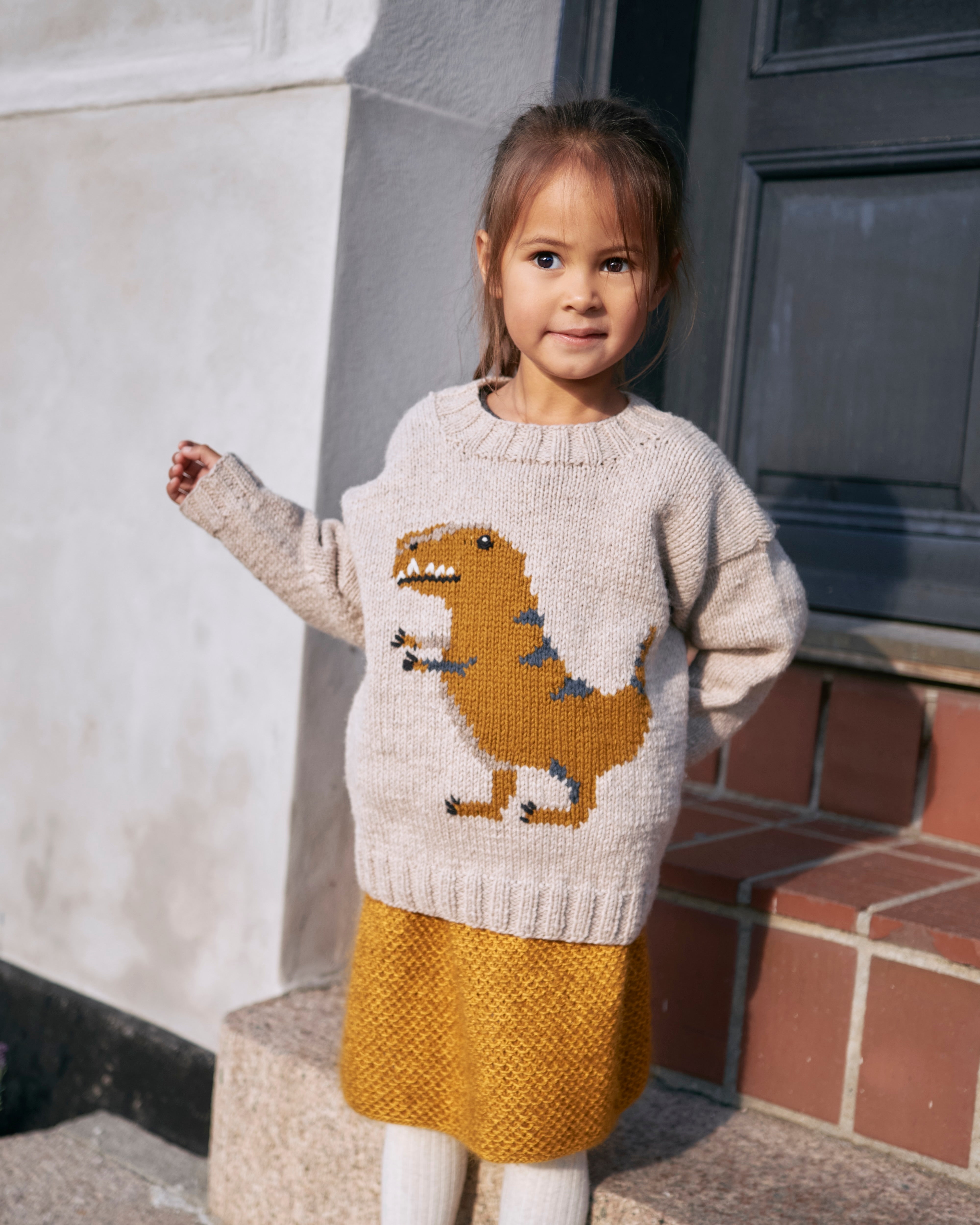 Dinosaur Sweater
