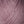 Artichoke Purple