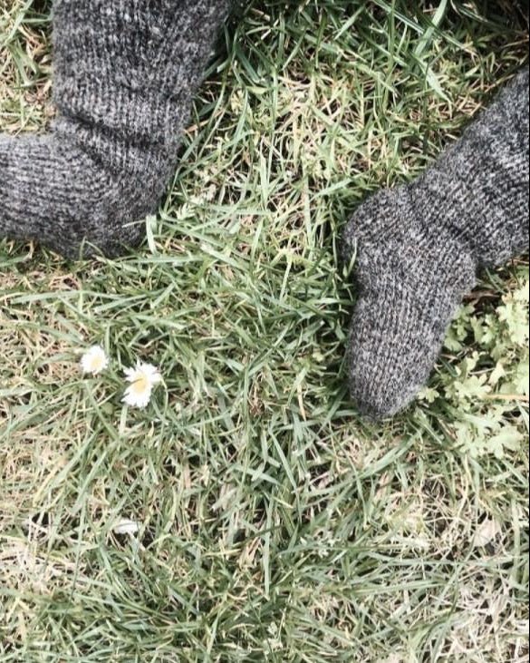 Olive's Tights
