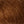 Dark Cognac