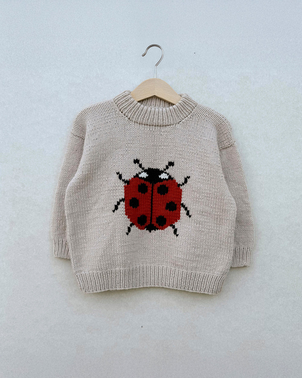 Marienkäfer-Pullover