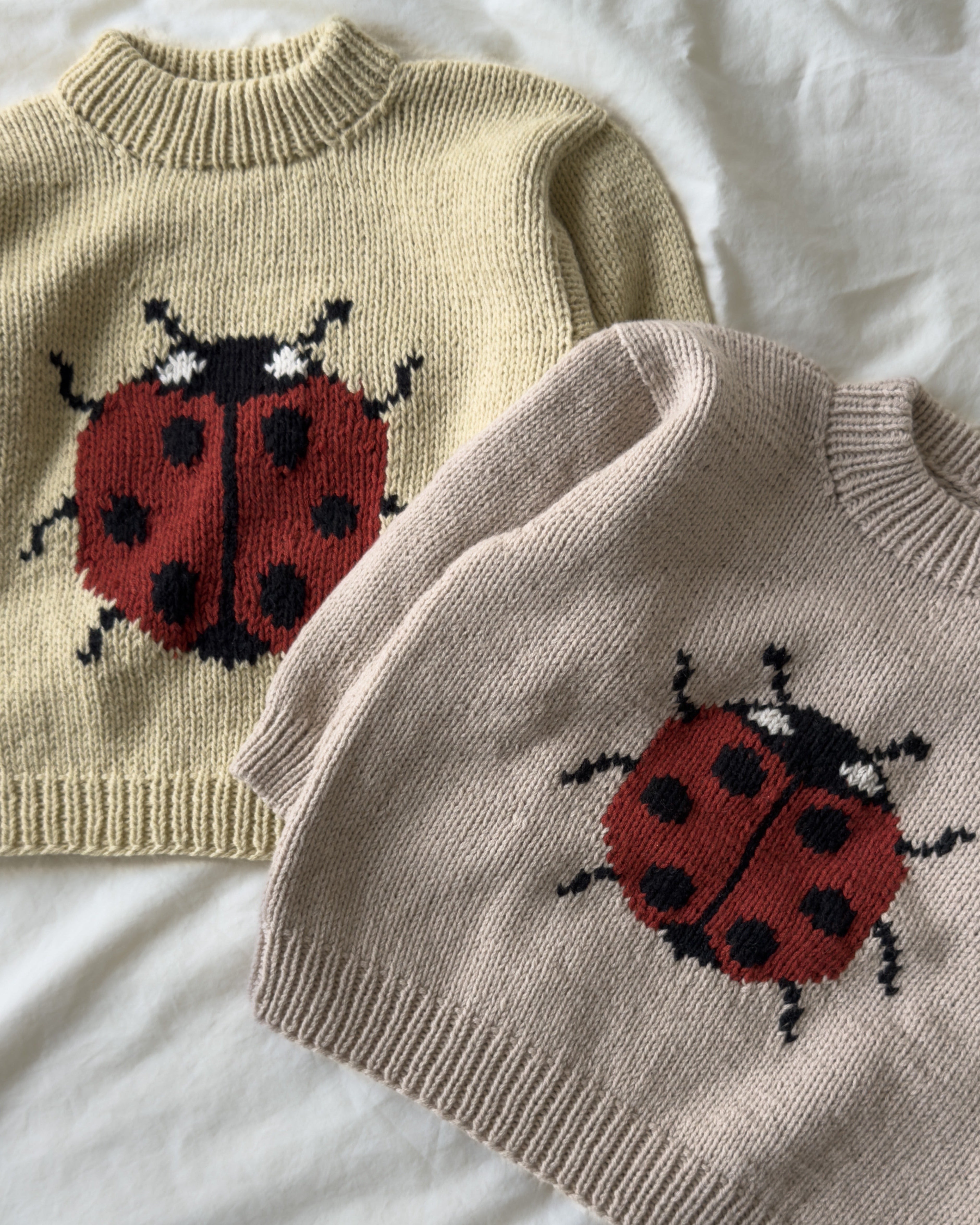 Marienkäfer-Pullover