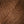Dark Cognac