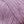 Artichoke Purple