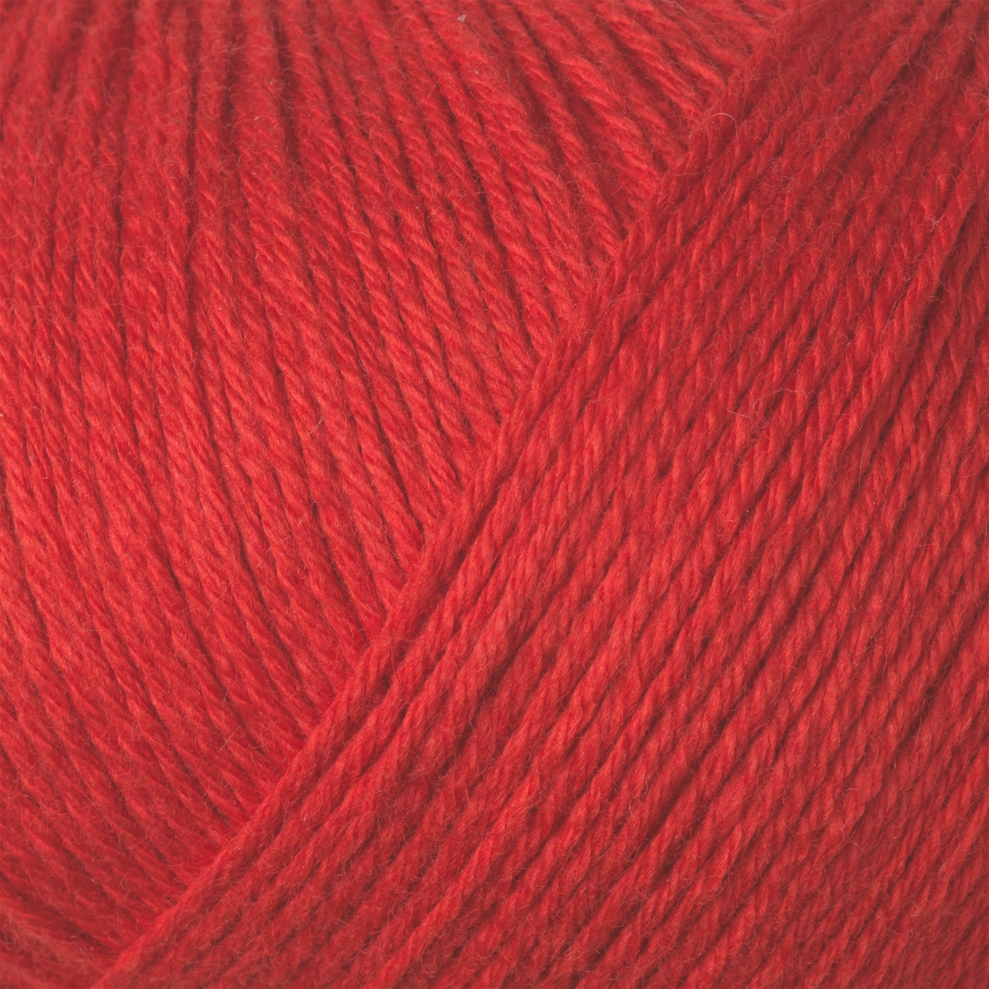 Knitting for Olive Olive Cotton Merino - Red Currant