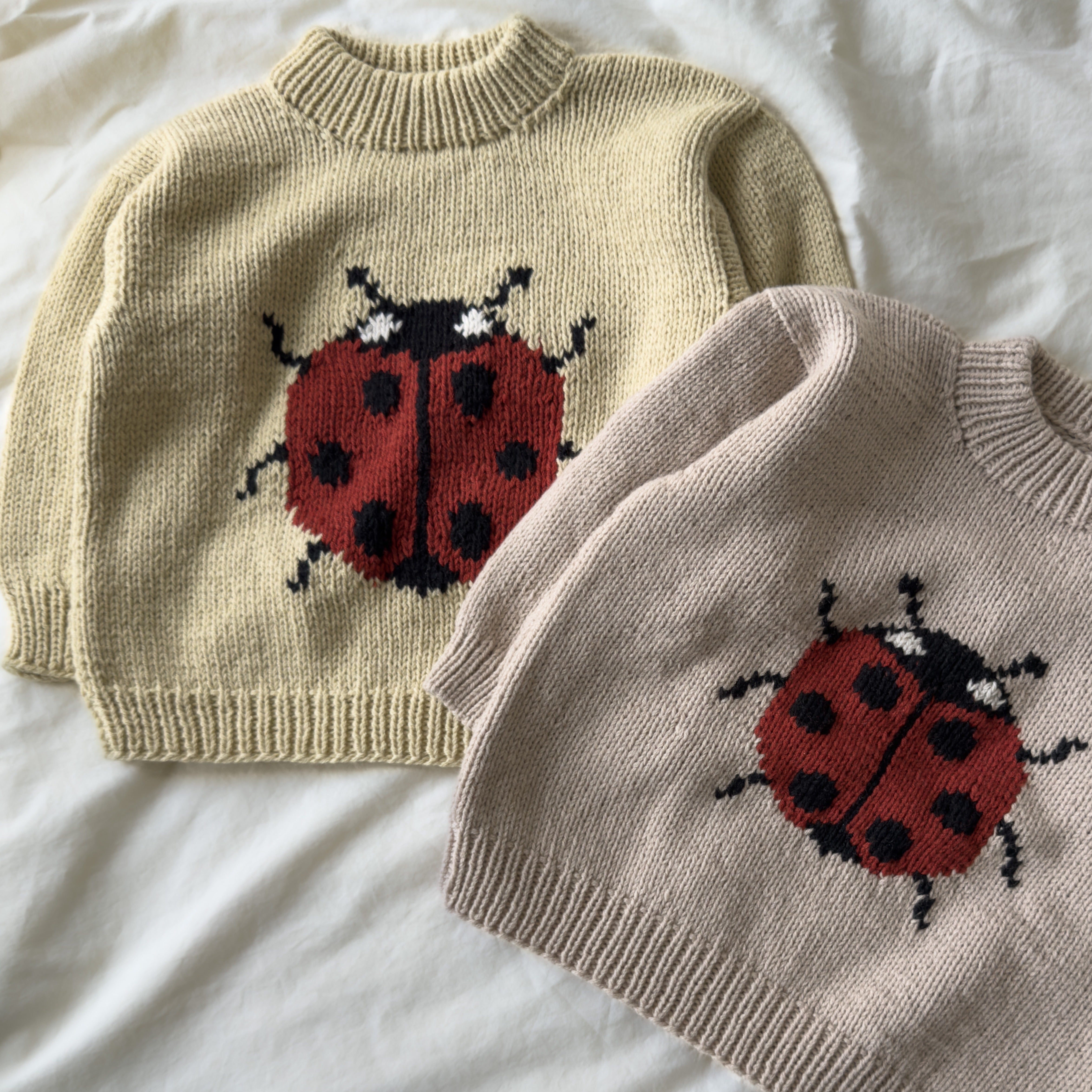 Pull coccinelle