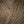 Soil