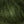 Fles Groen