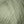 Dusty Artichoke