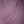 Artichoke Purple