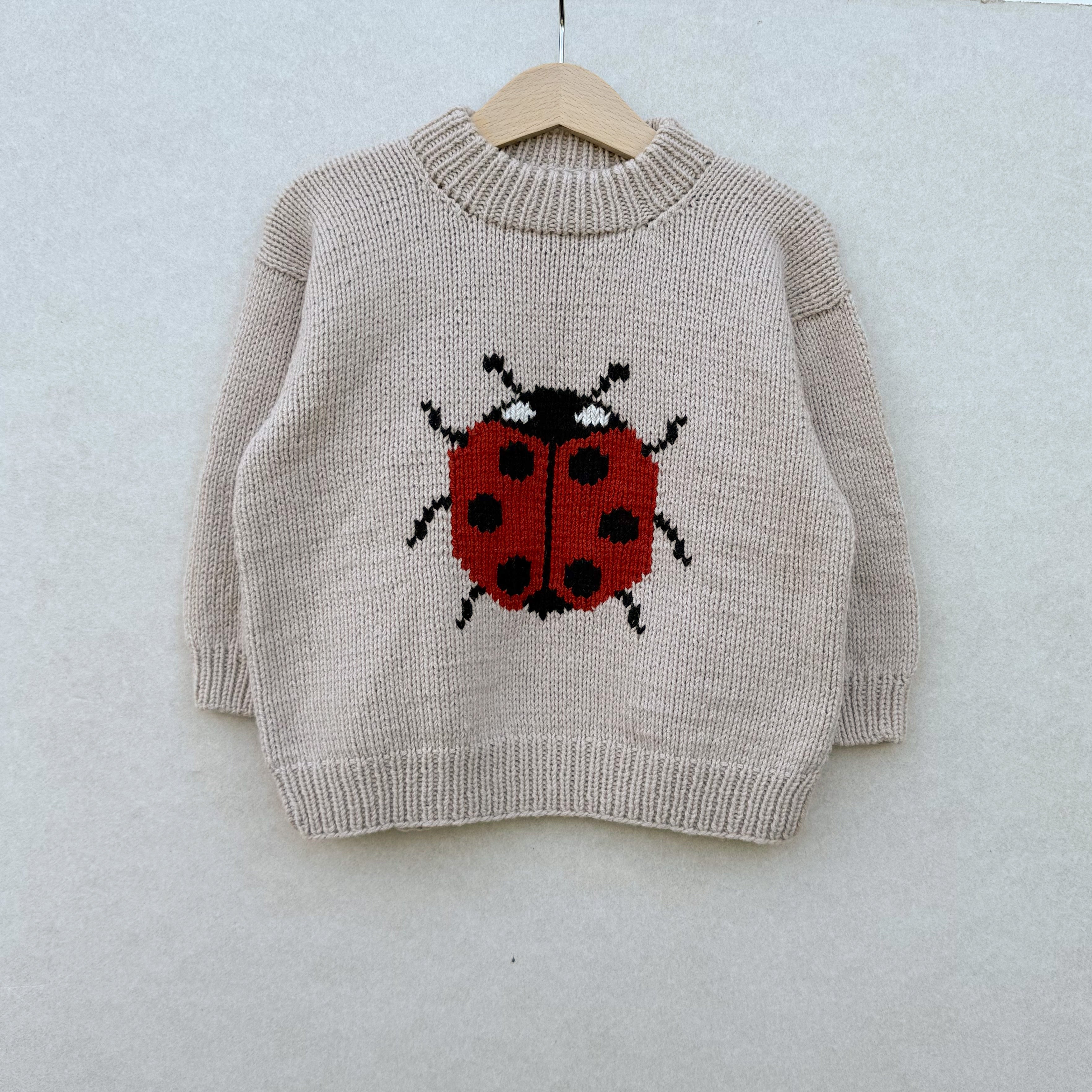 Ladybug Sweater