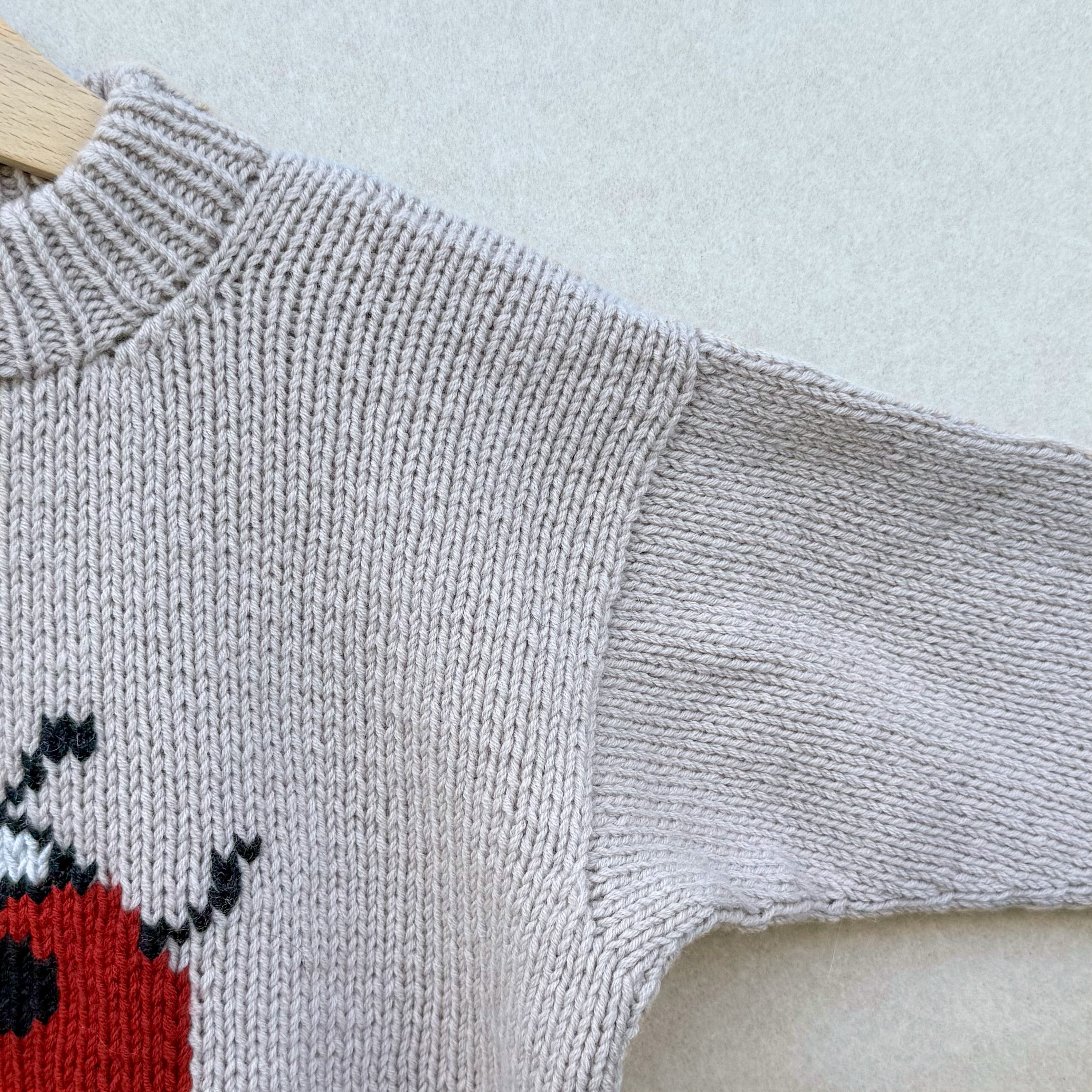 Ladybug Sweater