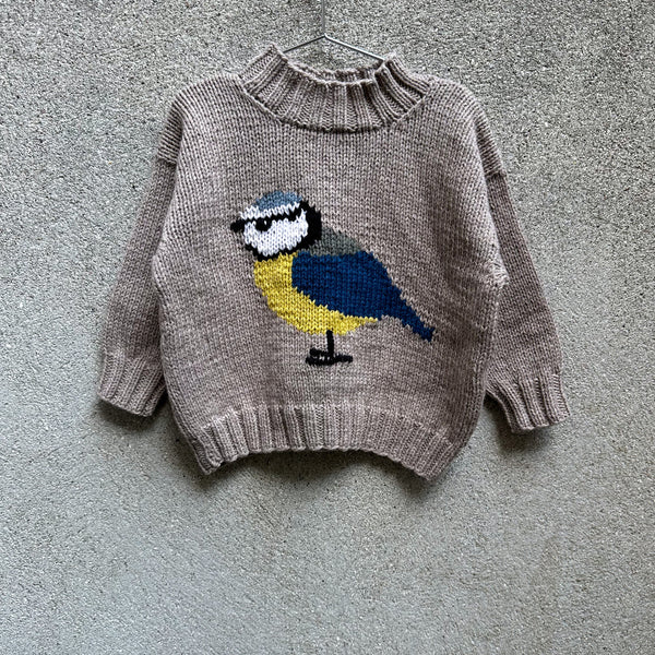 Bird Sweater - English