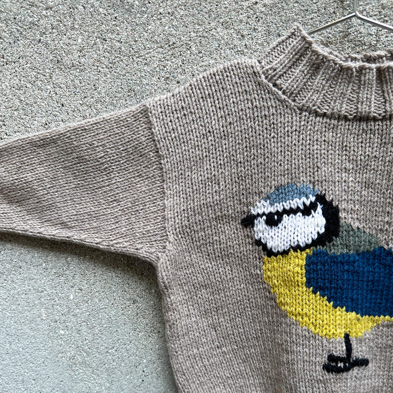 Bird Sweater - Korean