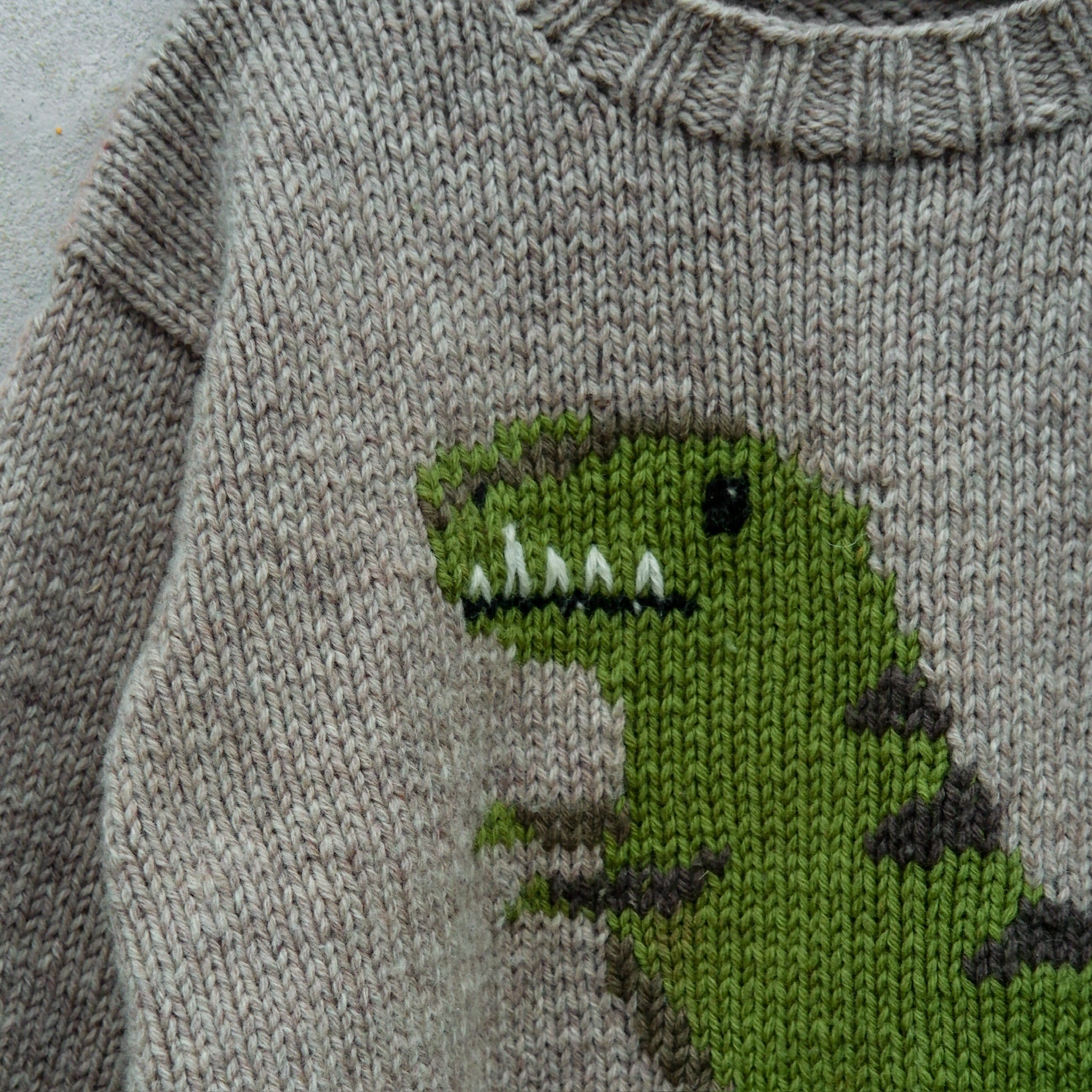 Dinosaur Sweater