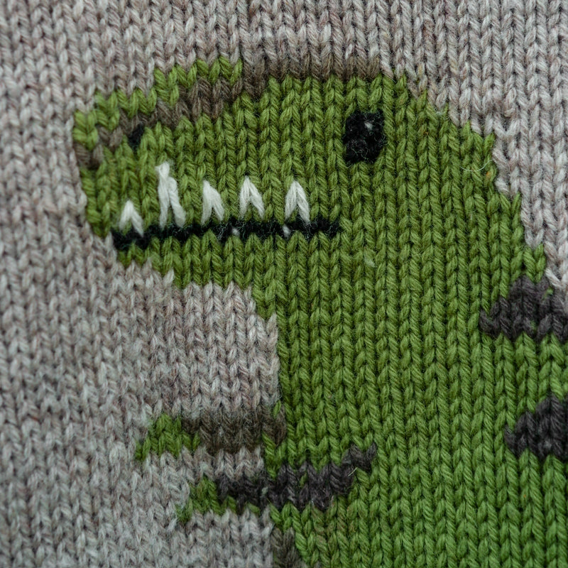 Dinosaur Sweater