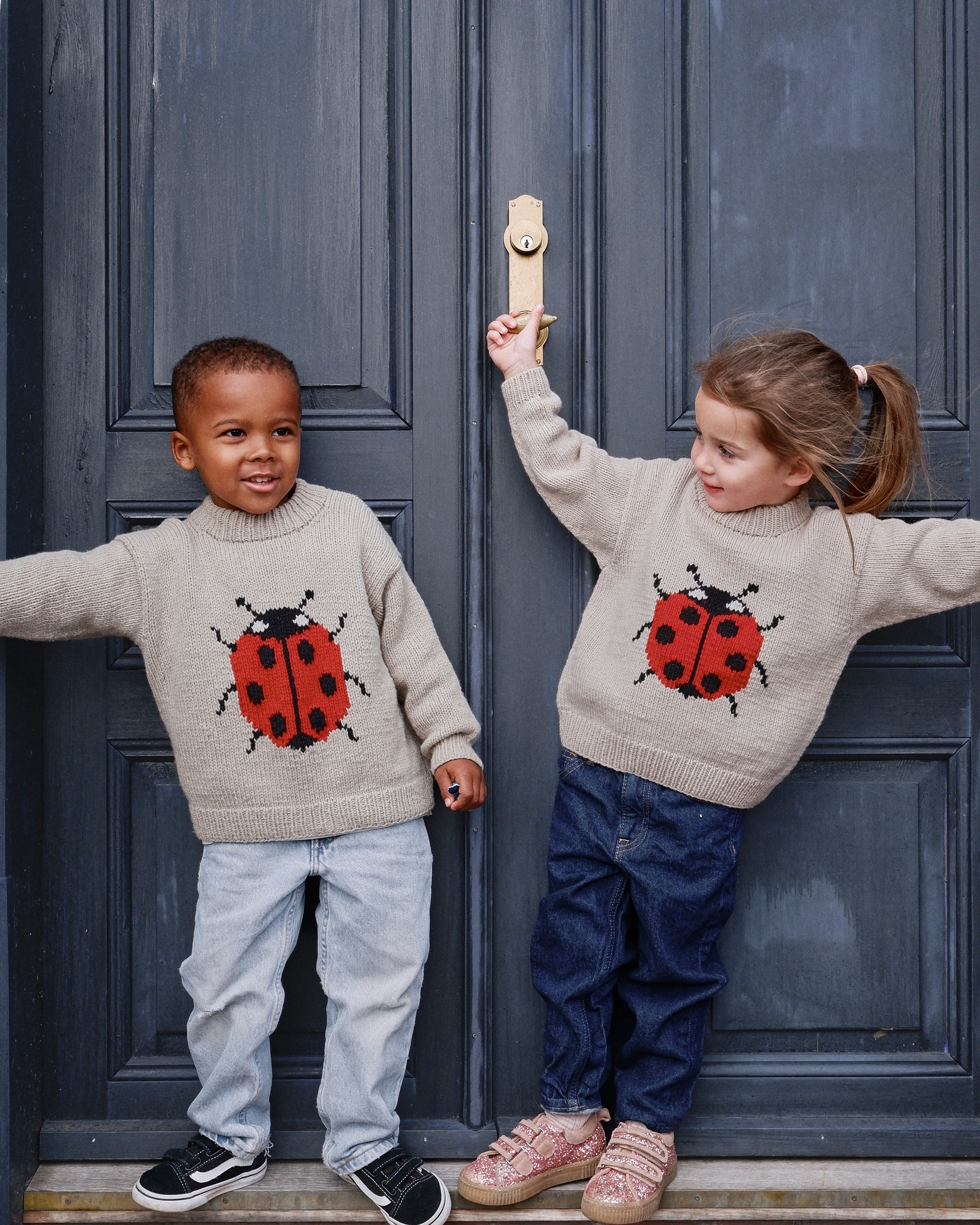Ladybug Sweater