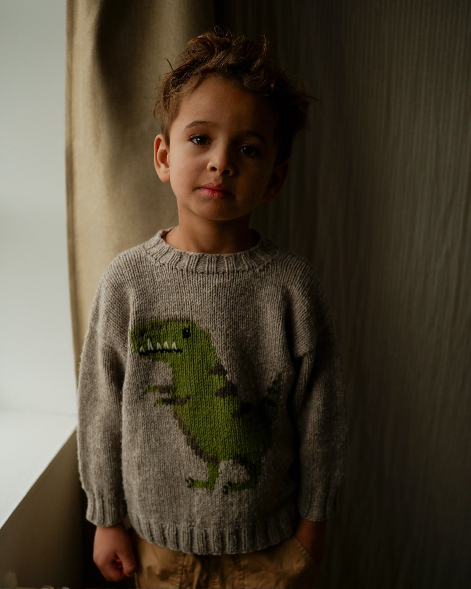 Dinosaur Sweater