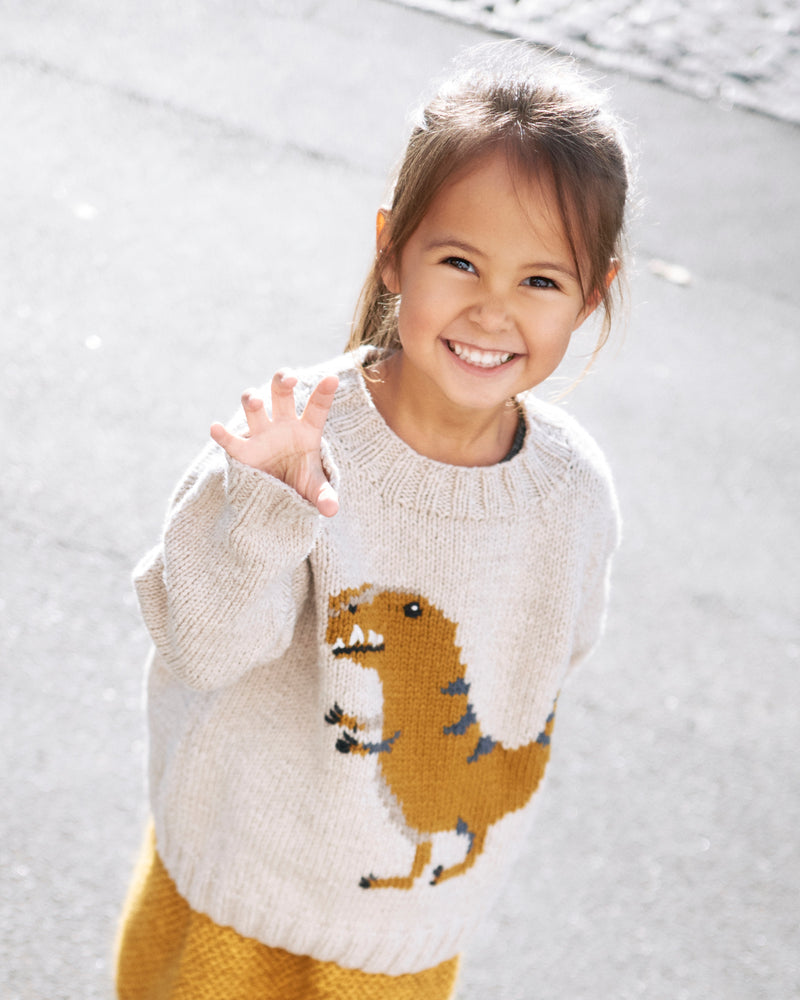Dinosaur Sweater