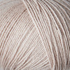 Powder<br>