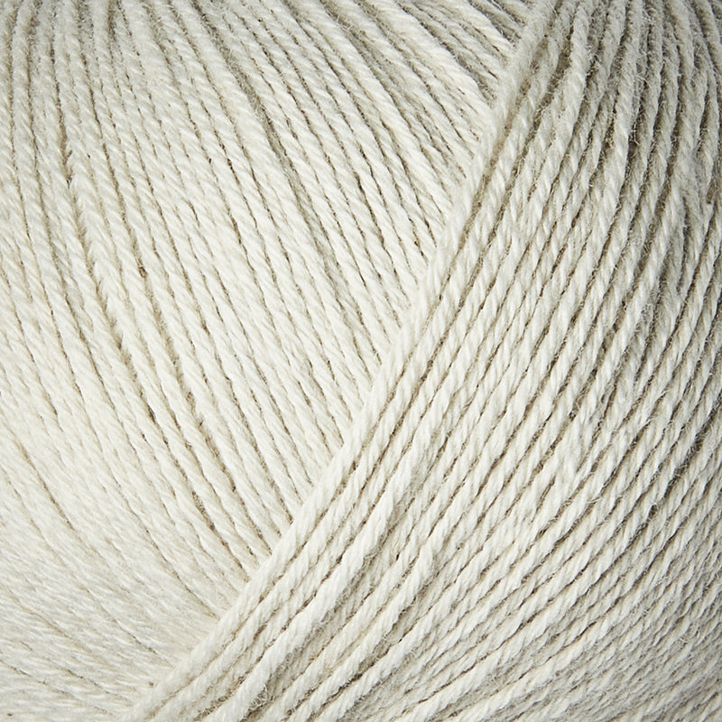 Putty
