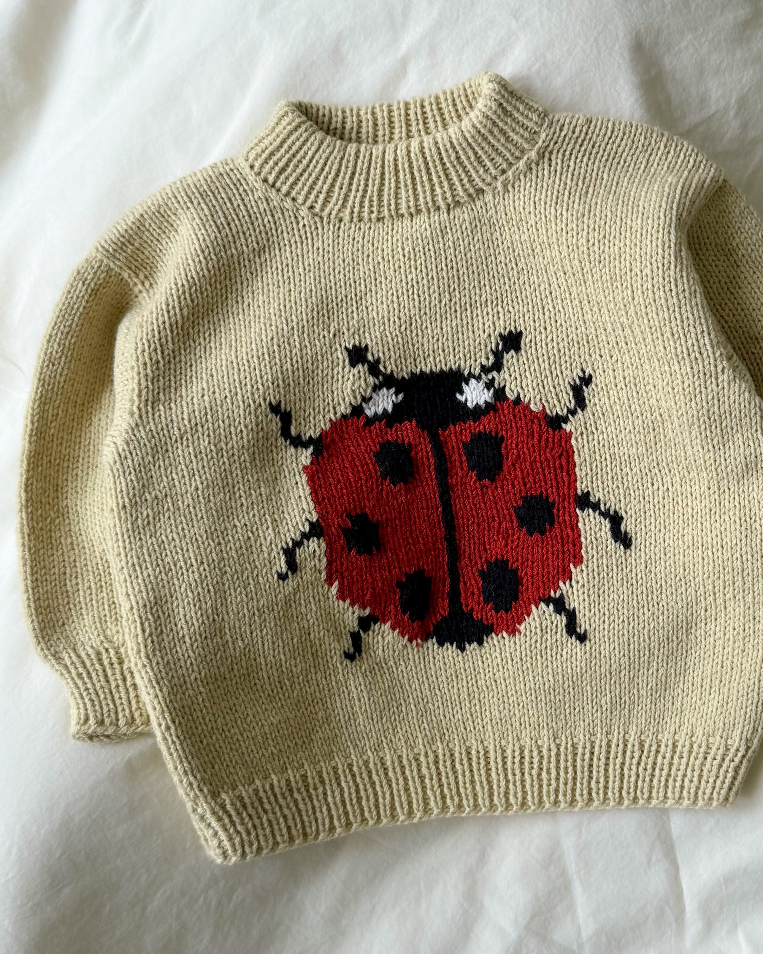 Marienkäfer-Pullover