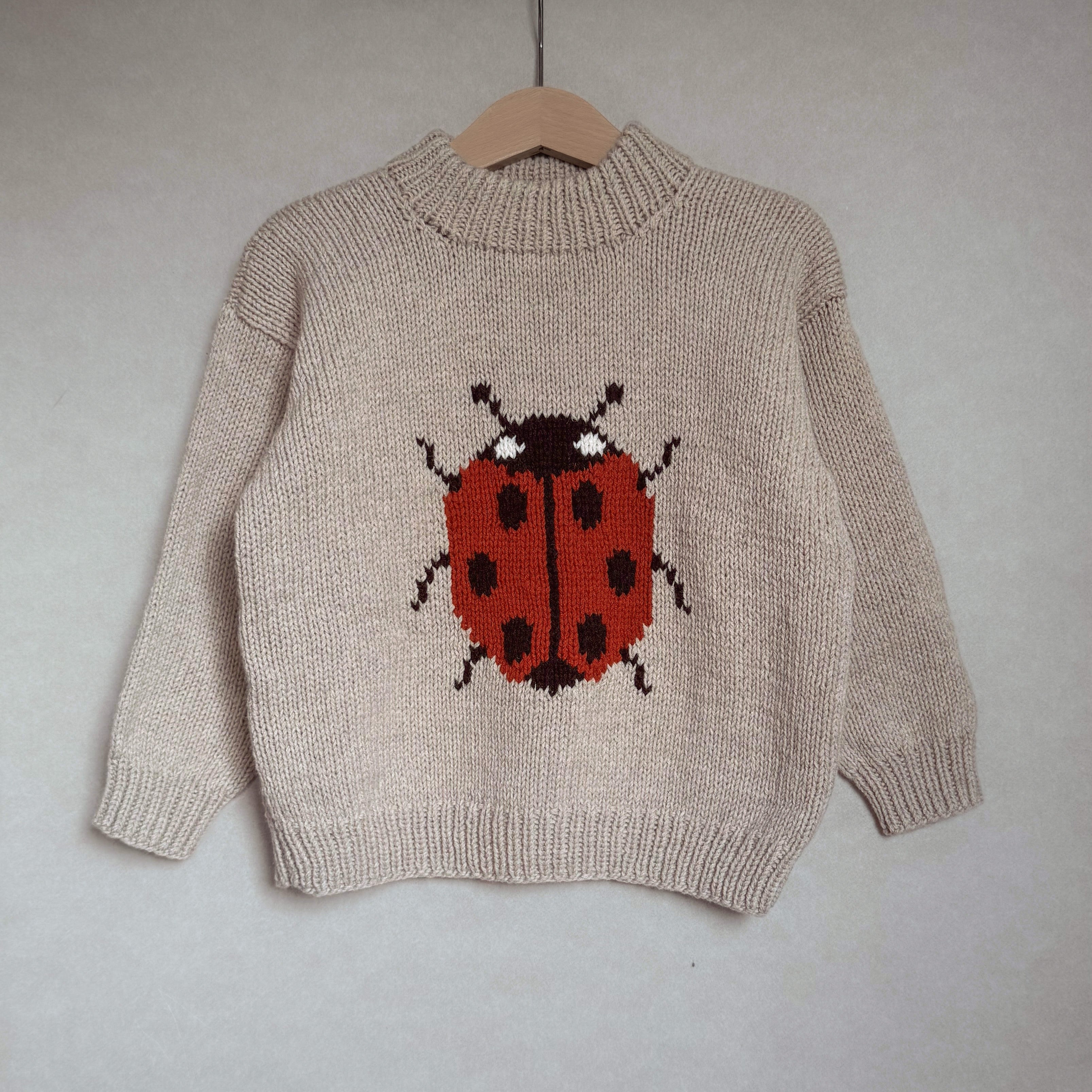 Marienkäfer-Pullover