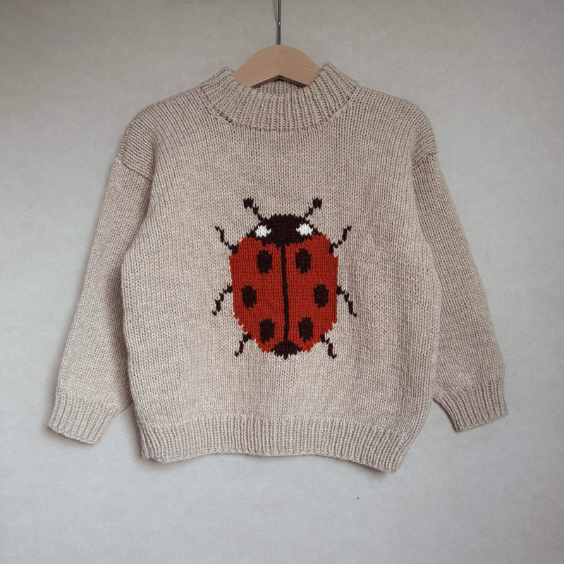 Marienkäfer-Pullover