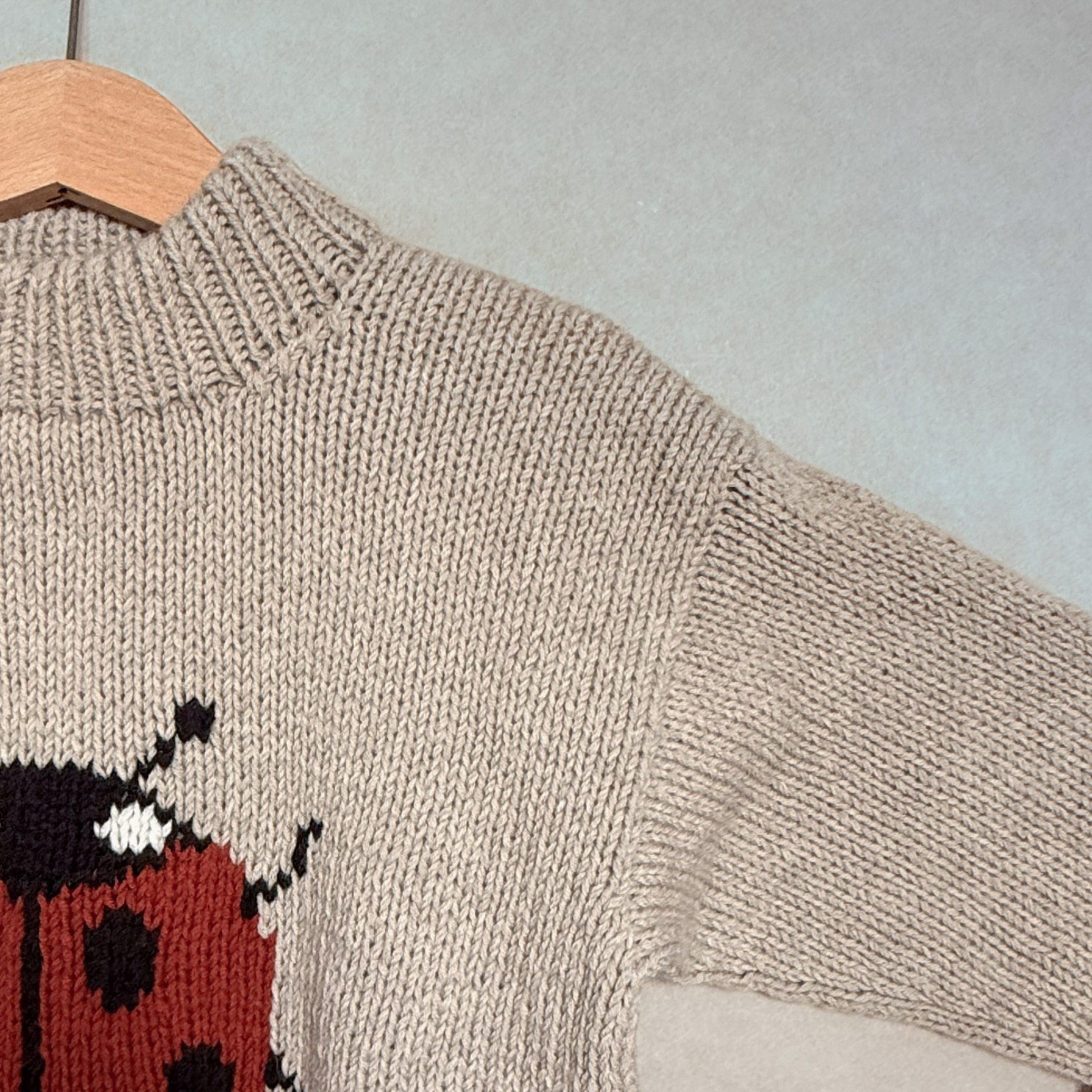 Marienkäfer-Pullover