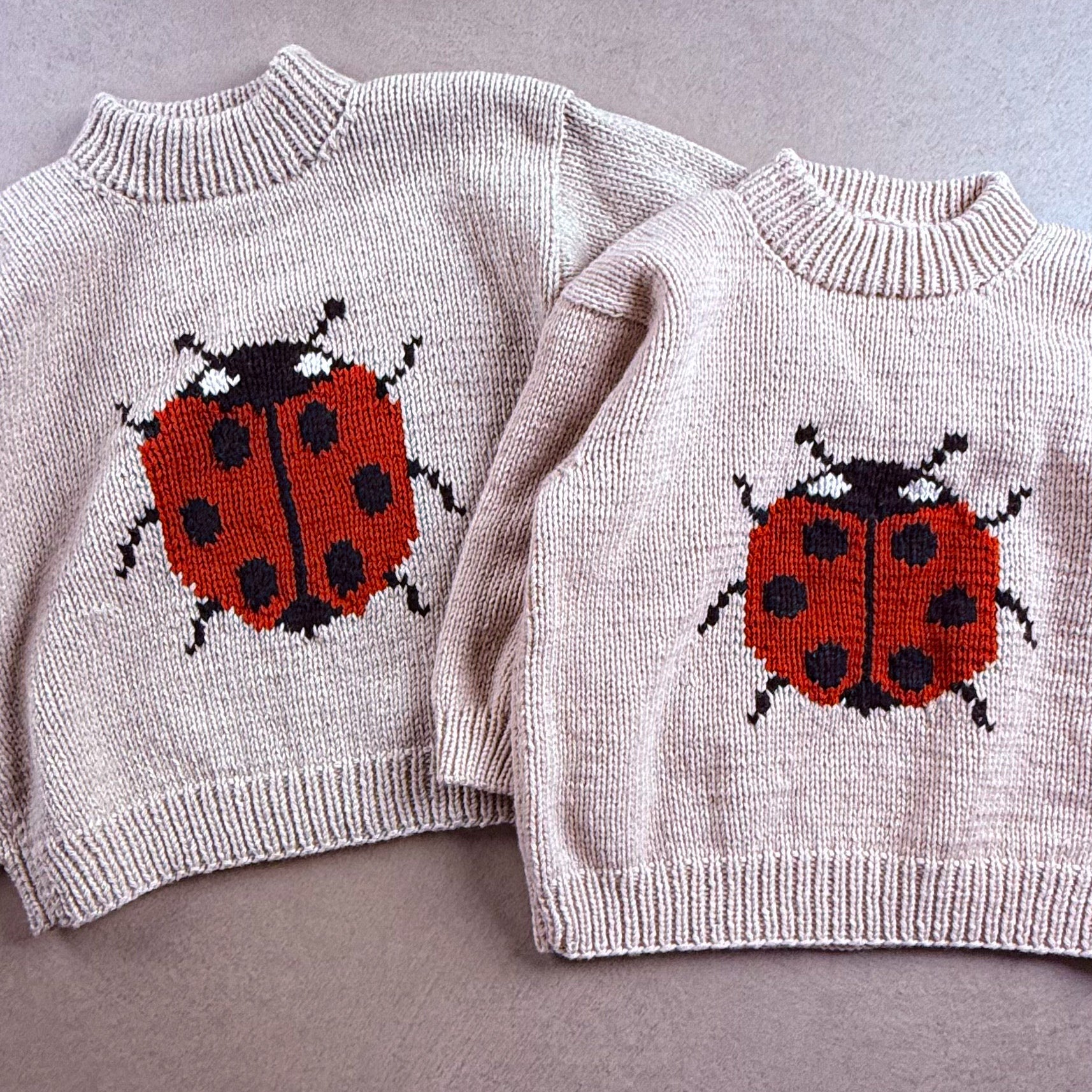 Marienkäfer-Pullover