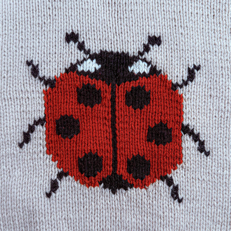 Marienkäfer-Pullover