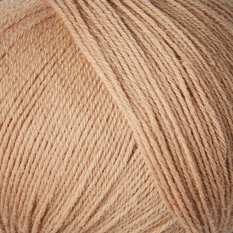 Camel Rose