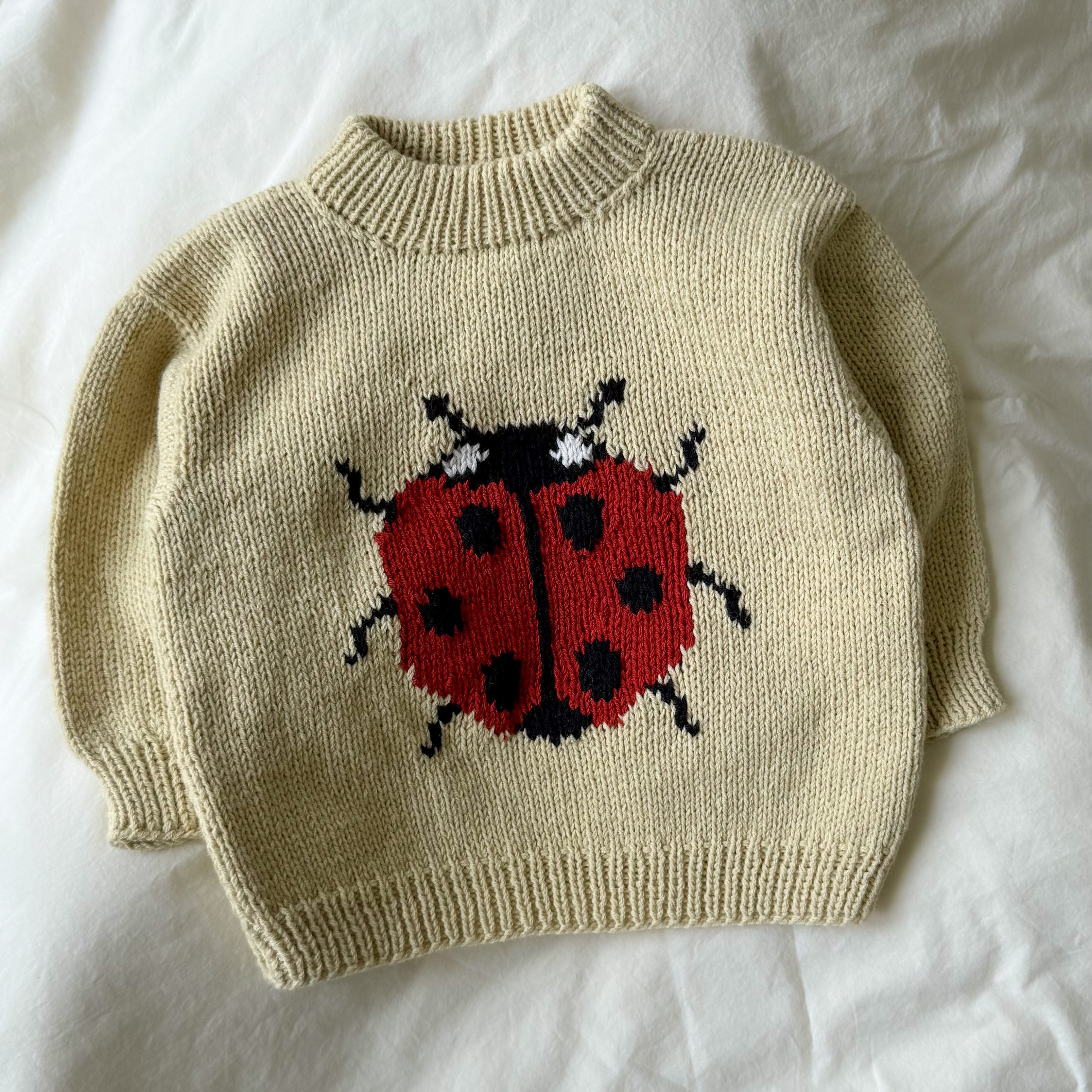 Pull coccinelle
