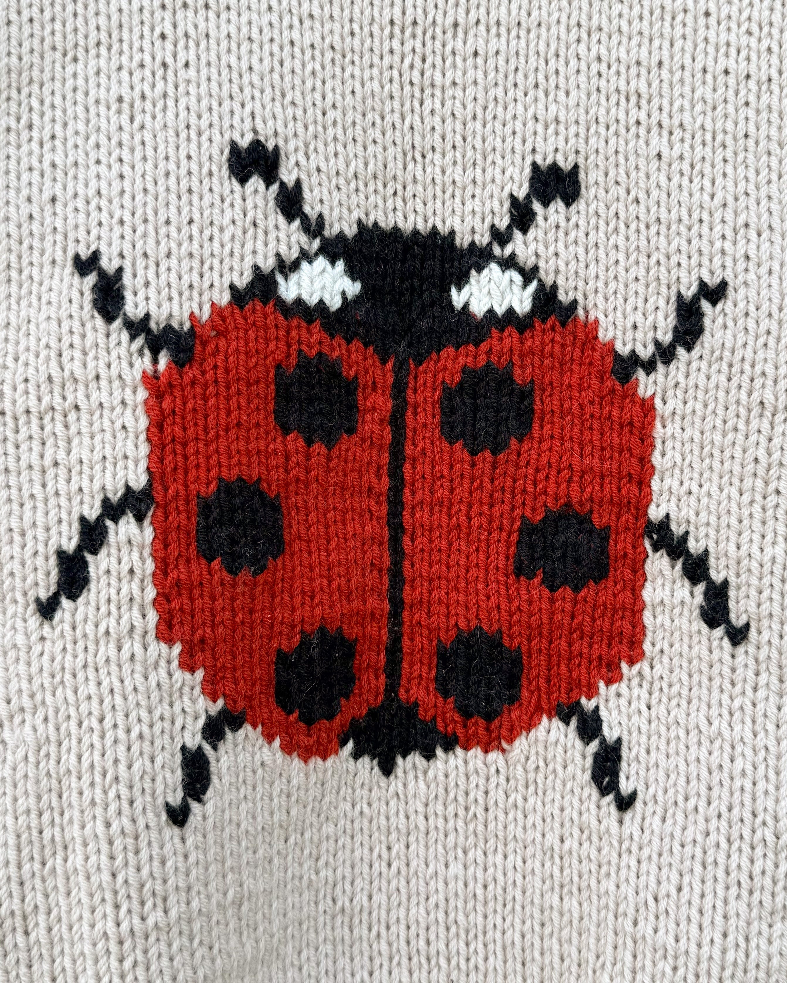 Pull coccinelle