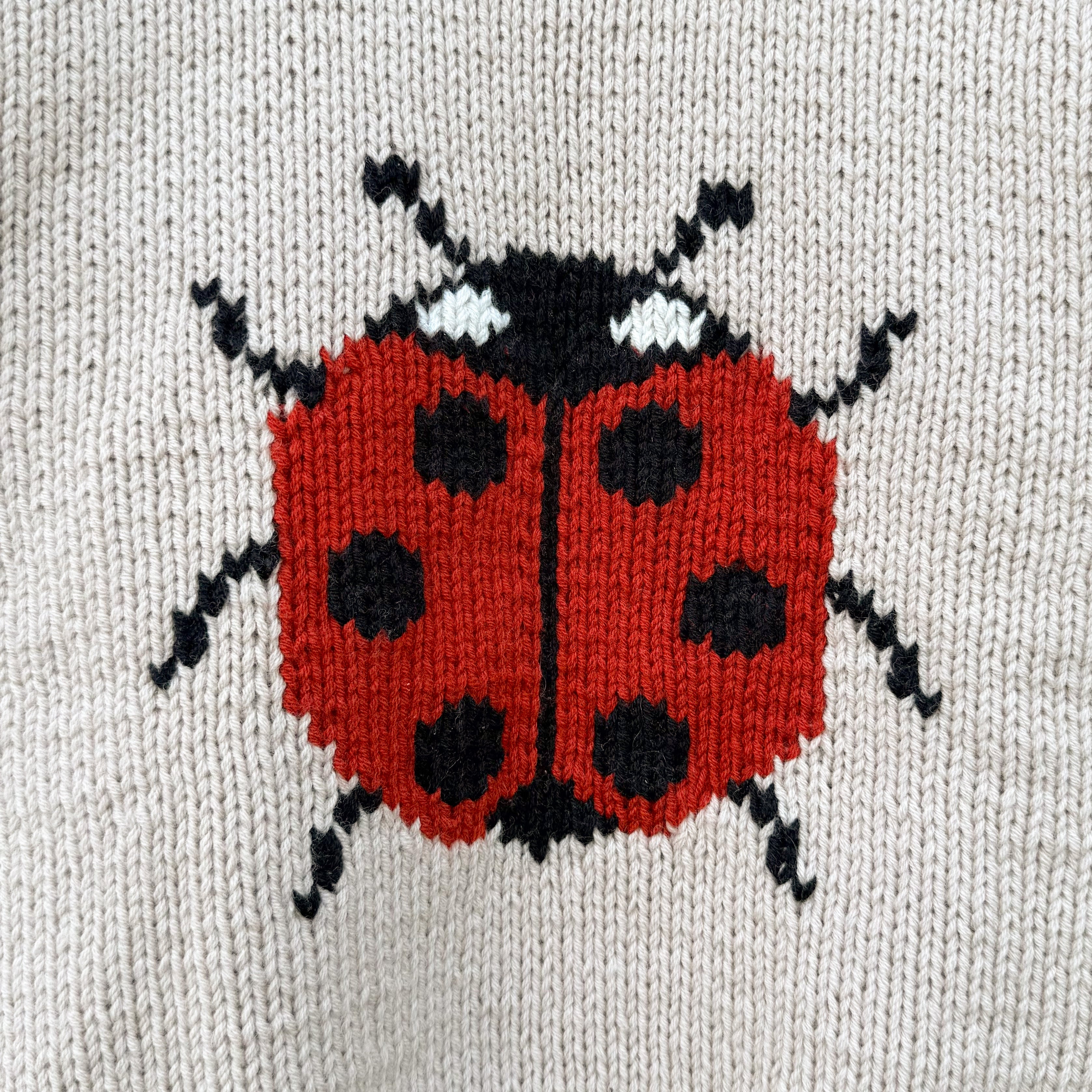 Pull coccinelle
