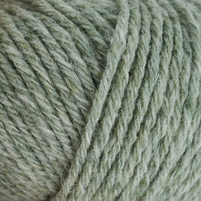 Eucalyptus