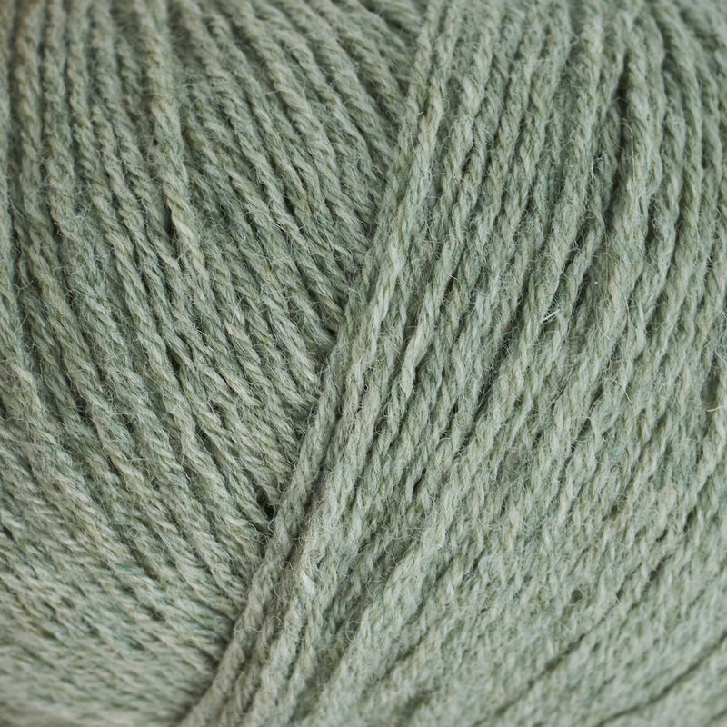 Eucalyptus
