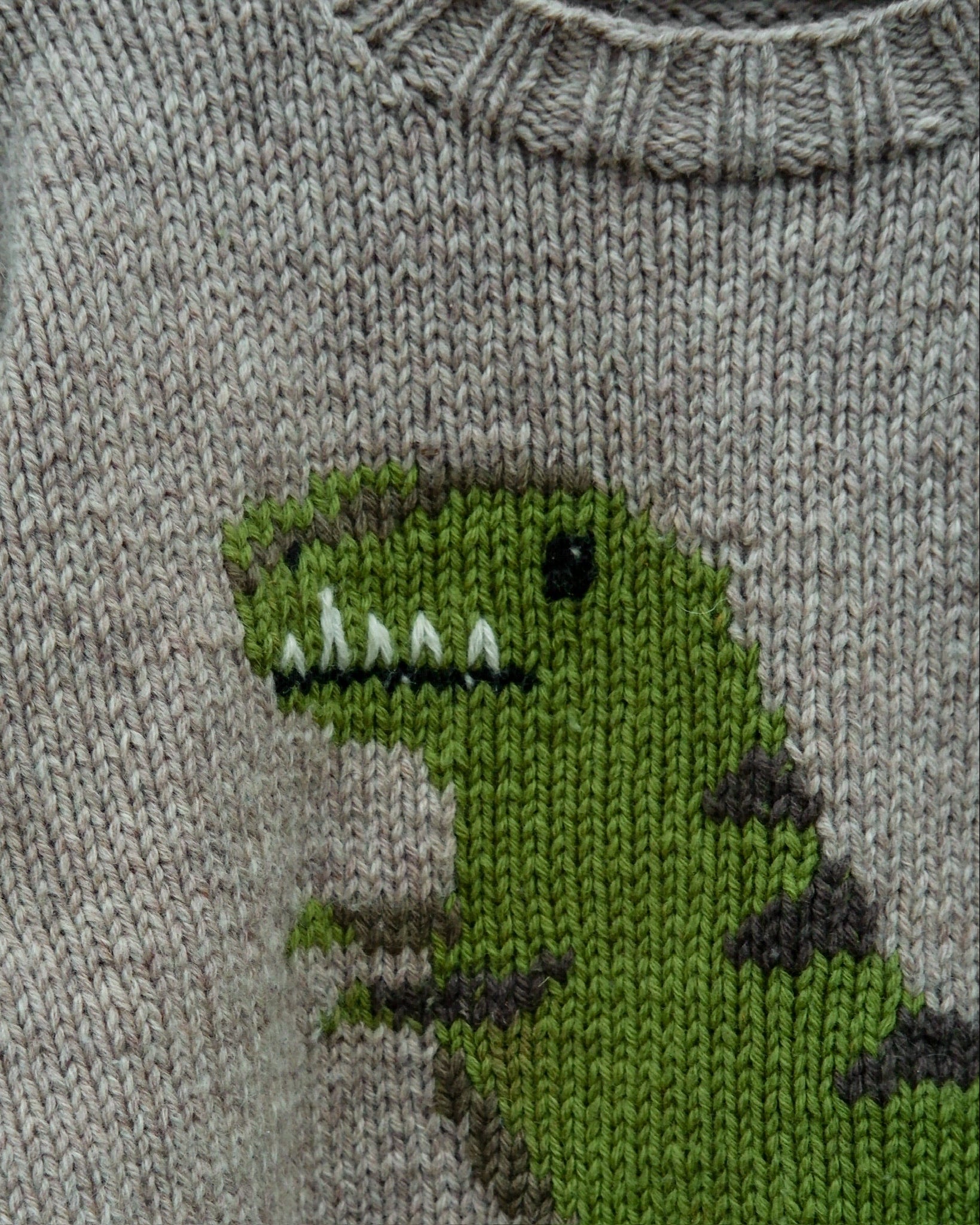 Dinosaur Sweater