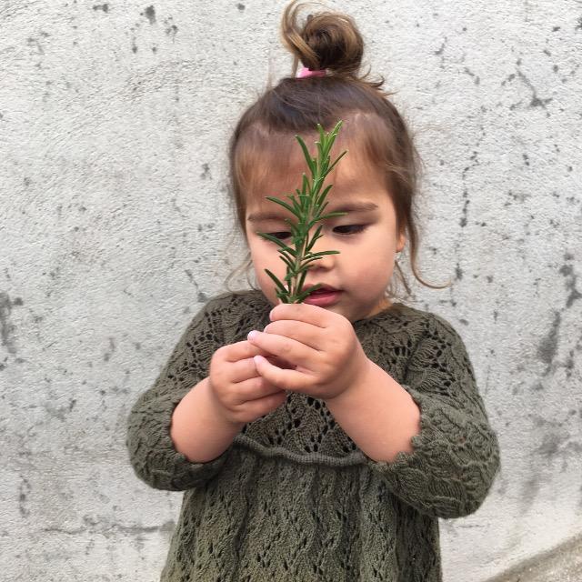 Holly-kjole