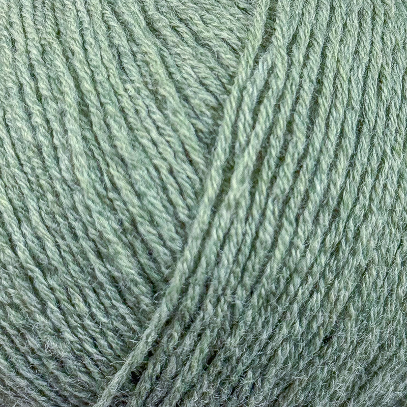 Eucalyptus