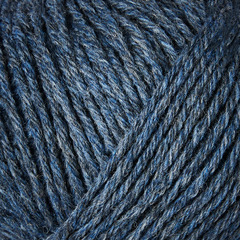 Blauwe Vinvis