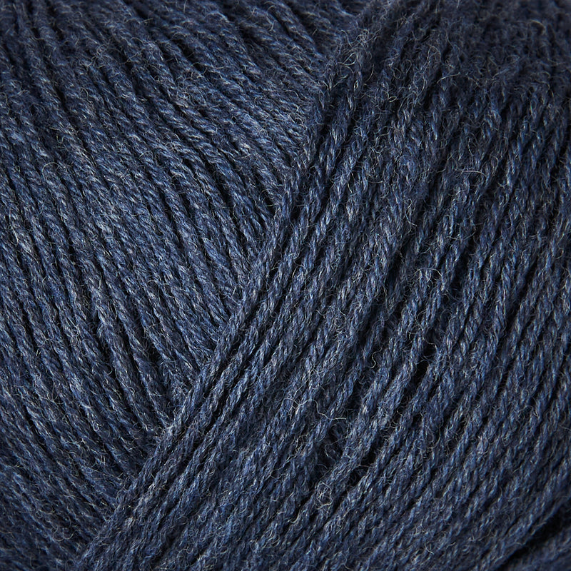 Blauwe Vinvis