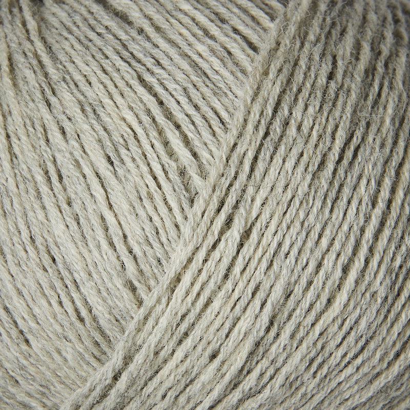 Ochtendnevel