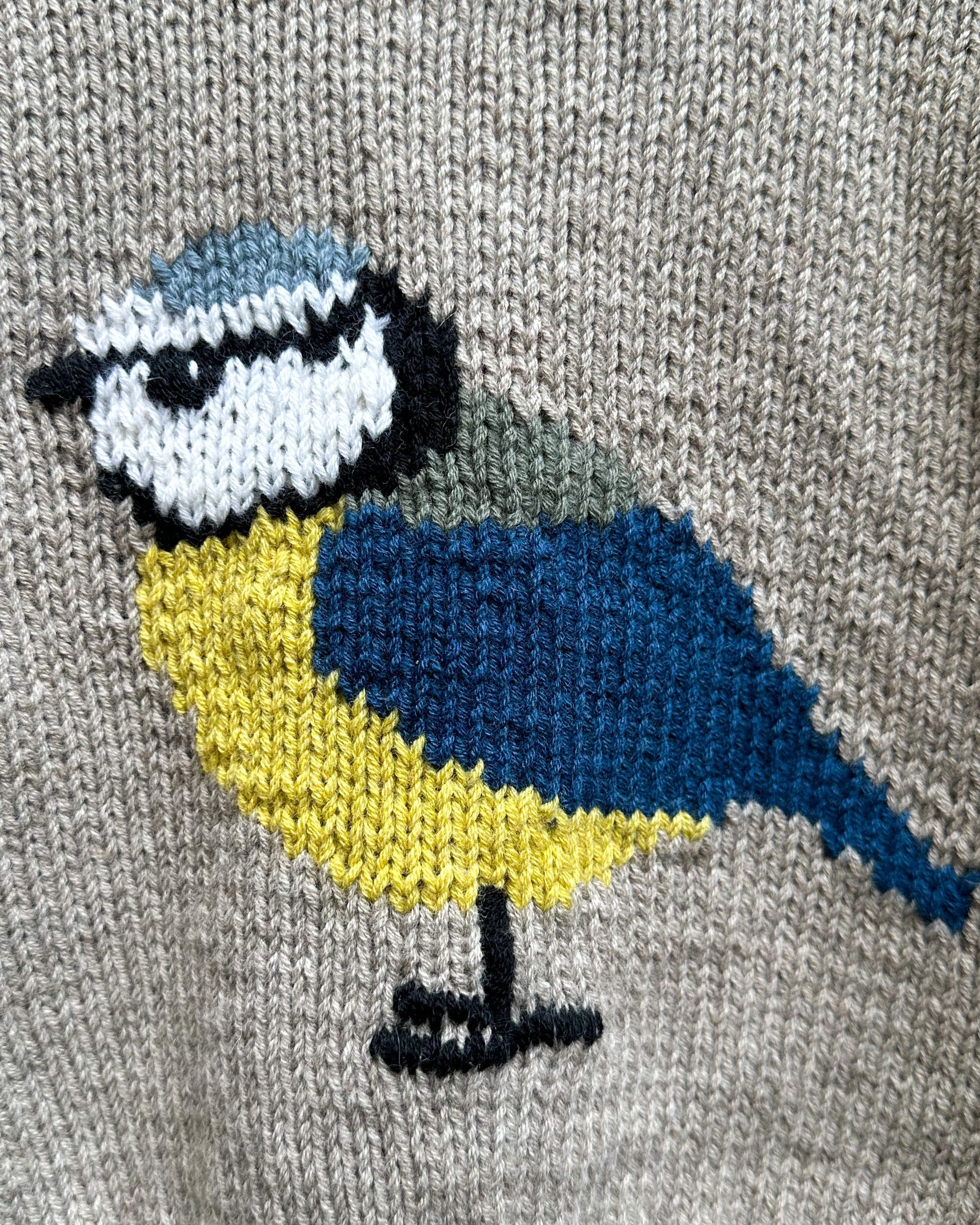 Bird Sweater