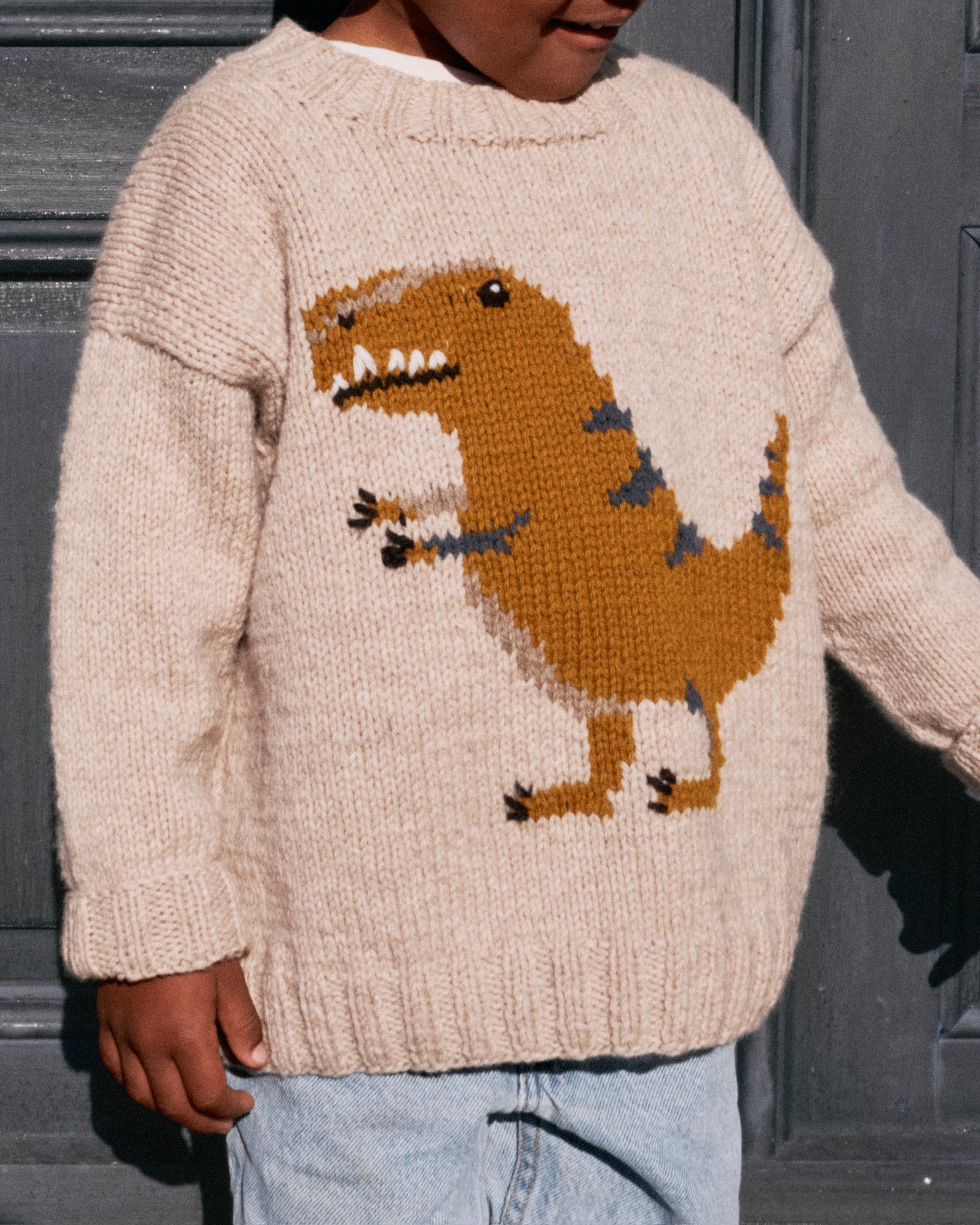 Dinosaur Sweater